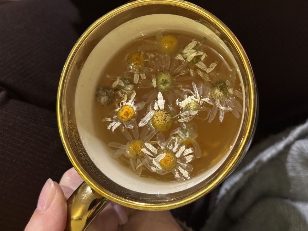 عرقیات گیاهی