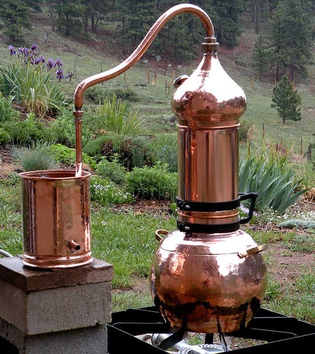 عرقیات گیاهی کاشان